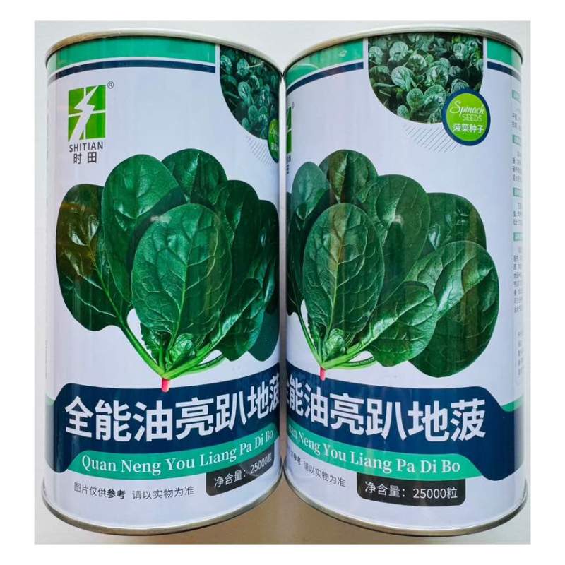 全能油亮趴地菠菜种子产量高抗病耐热耐寒厚肉圆叶趴地菠菜比普