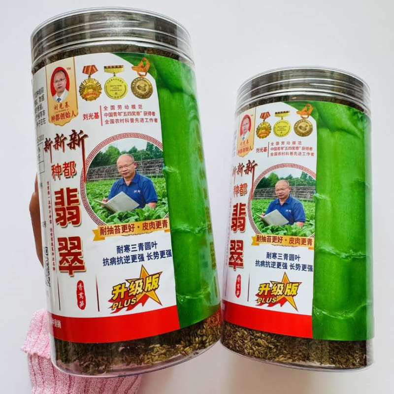 种都翡翠升级版高品质莴笋种子耐寒三青圆叶抗病抗逆更强长