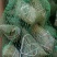 蜜枣黑米豆沙八宝花生大黄米75一件20斤