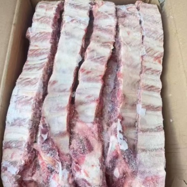 母猪窄寸排，新货10吨
