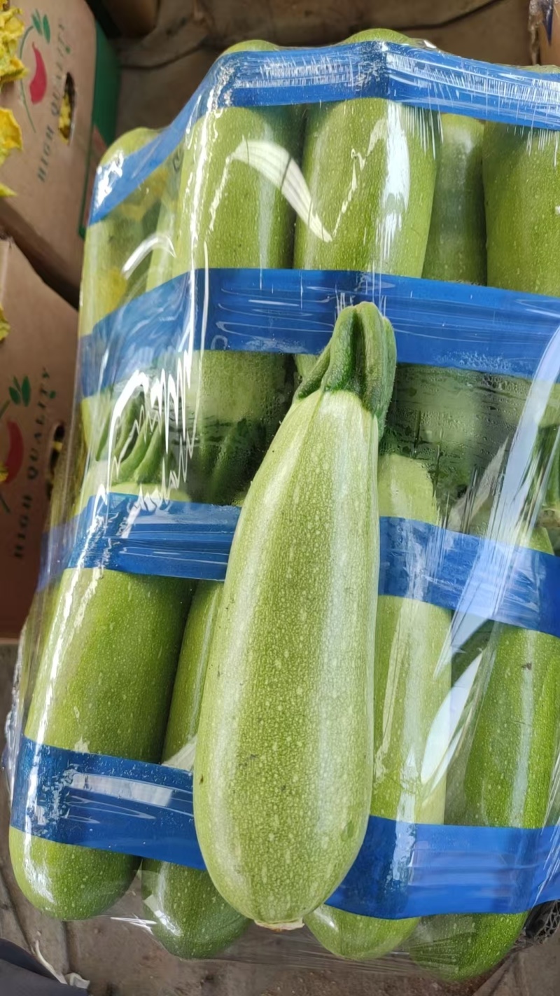 西葫芦
