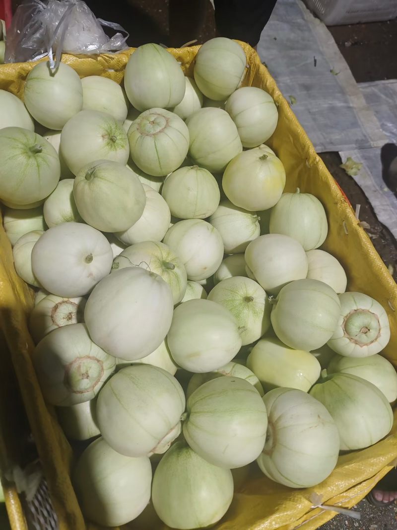 江西南昌县向塘本地梨瓜