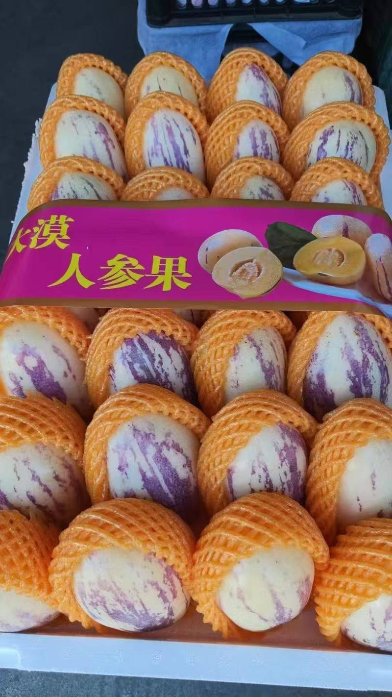 甘肃人参果