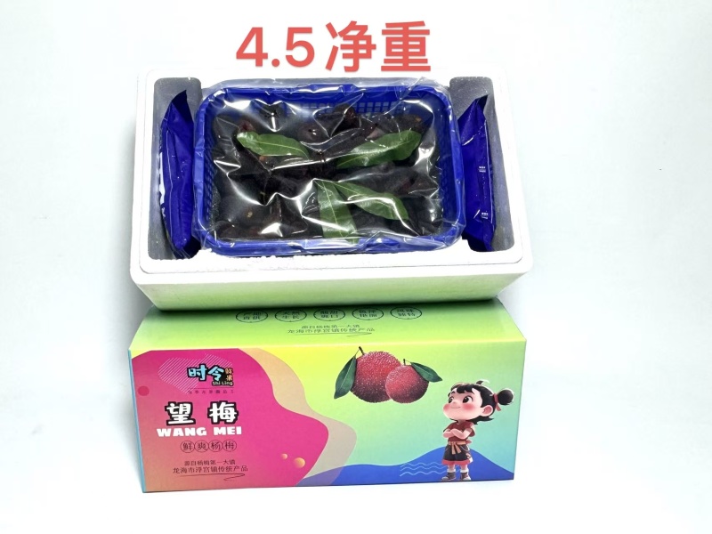 5斤框