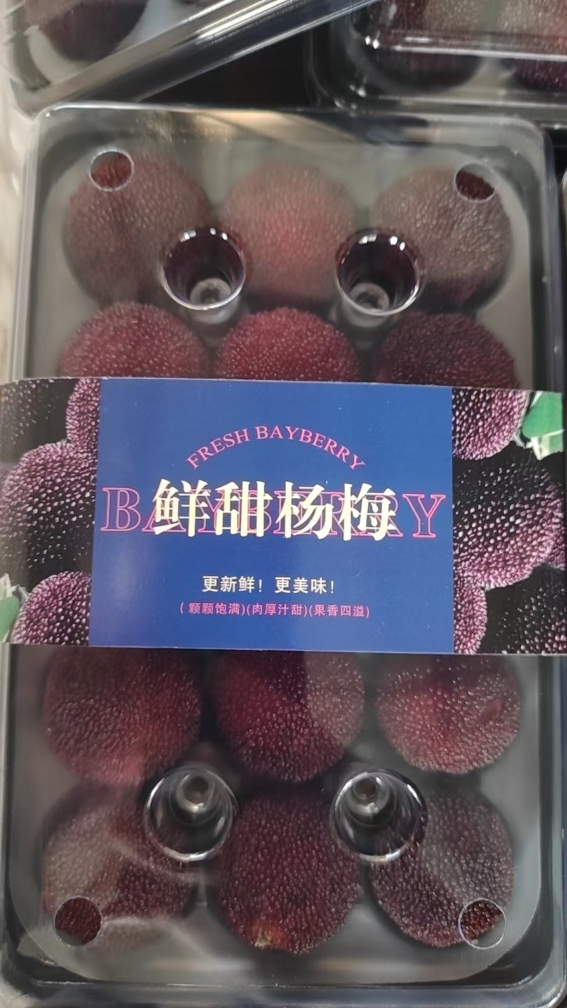 5斤框