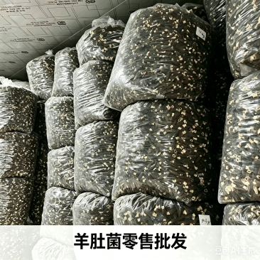 四川金堂羊肚菌