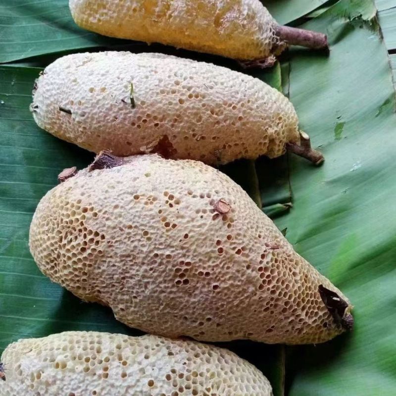 土蜂蜜