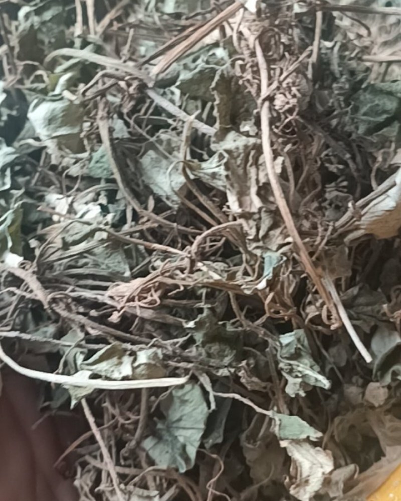 金钱草