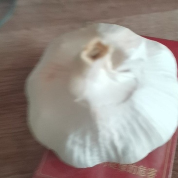 大蒜
