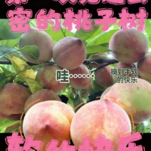 桐柏朱砂红桃