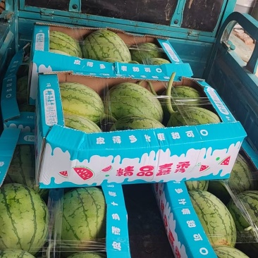 湖北嘉秀西瓜