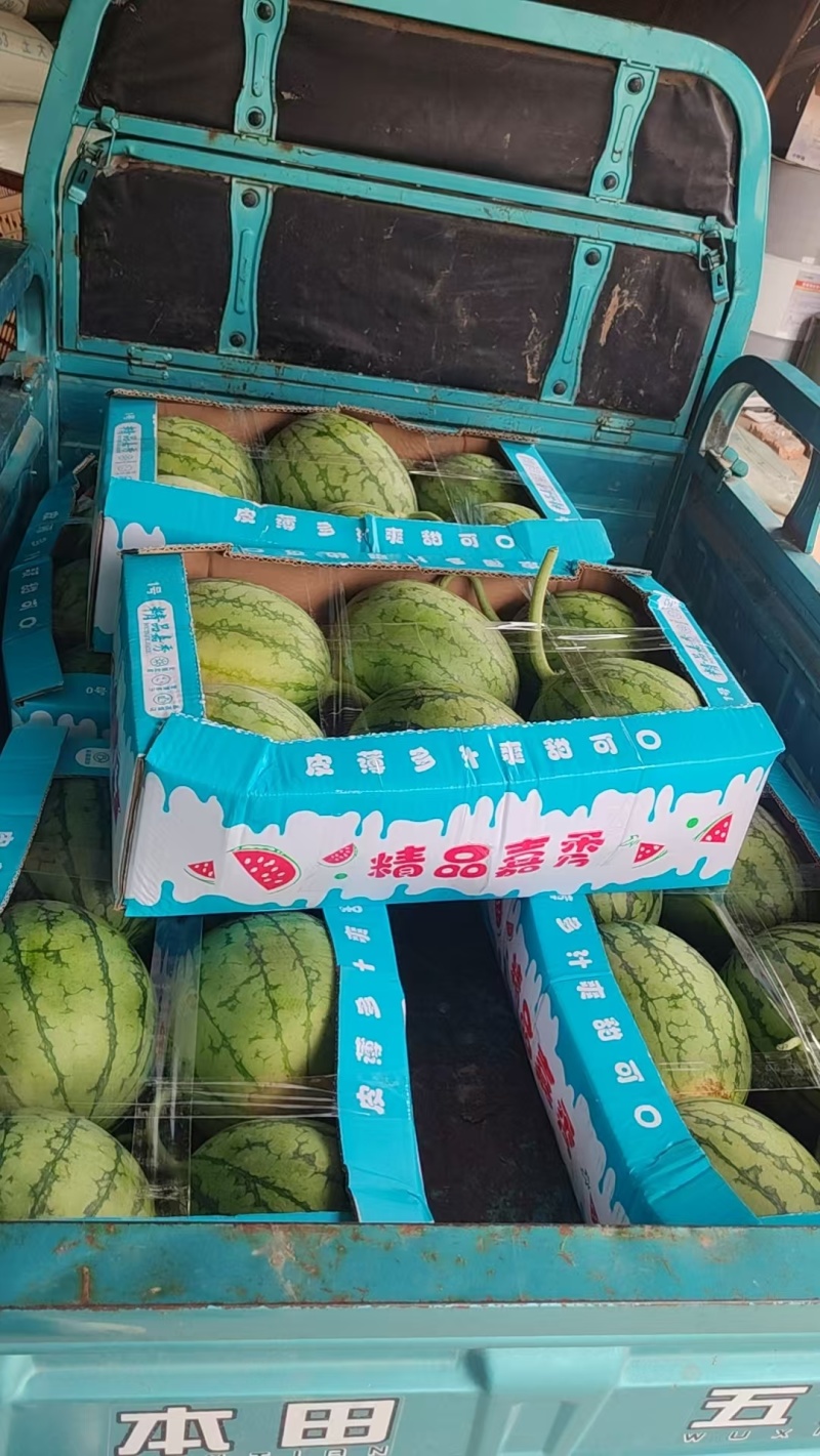 湖北嘉秀西瓜