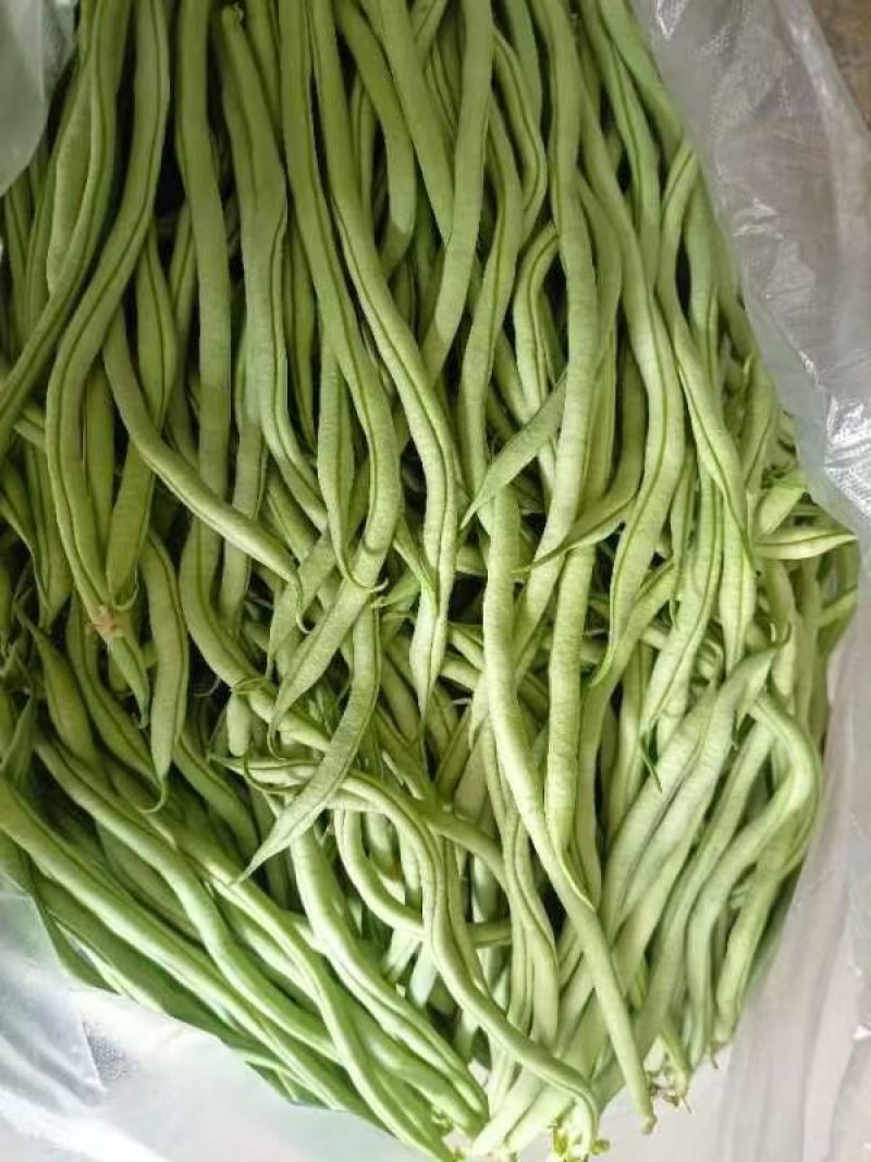 精品架豆王