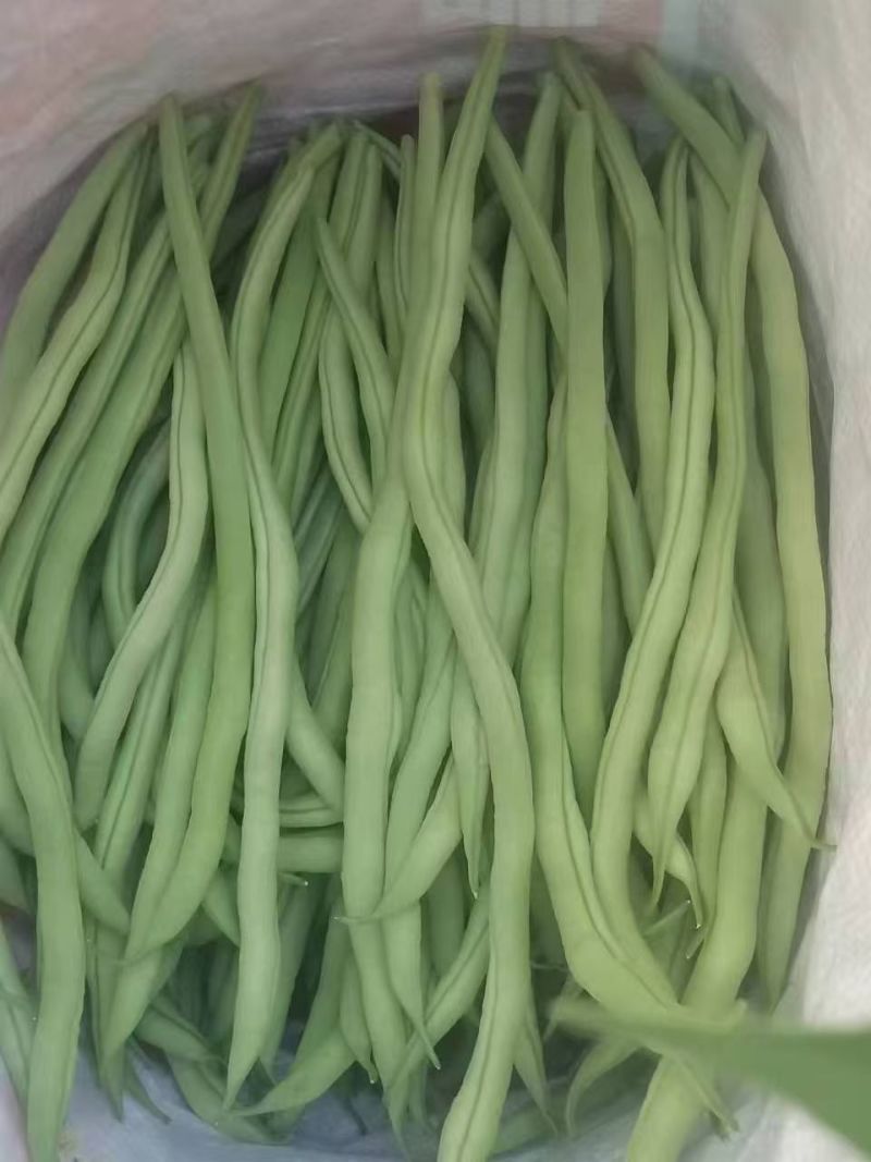 精品架豆王