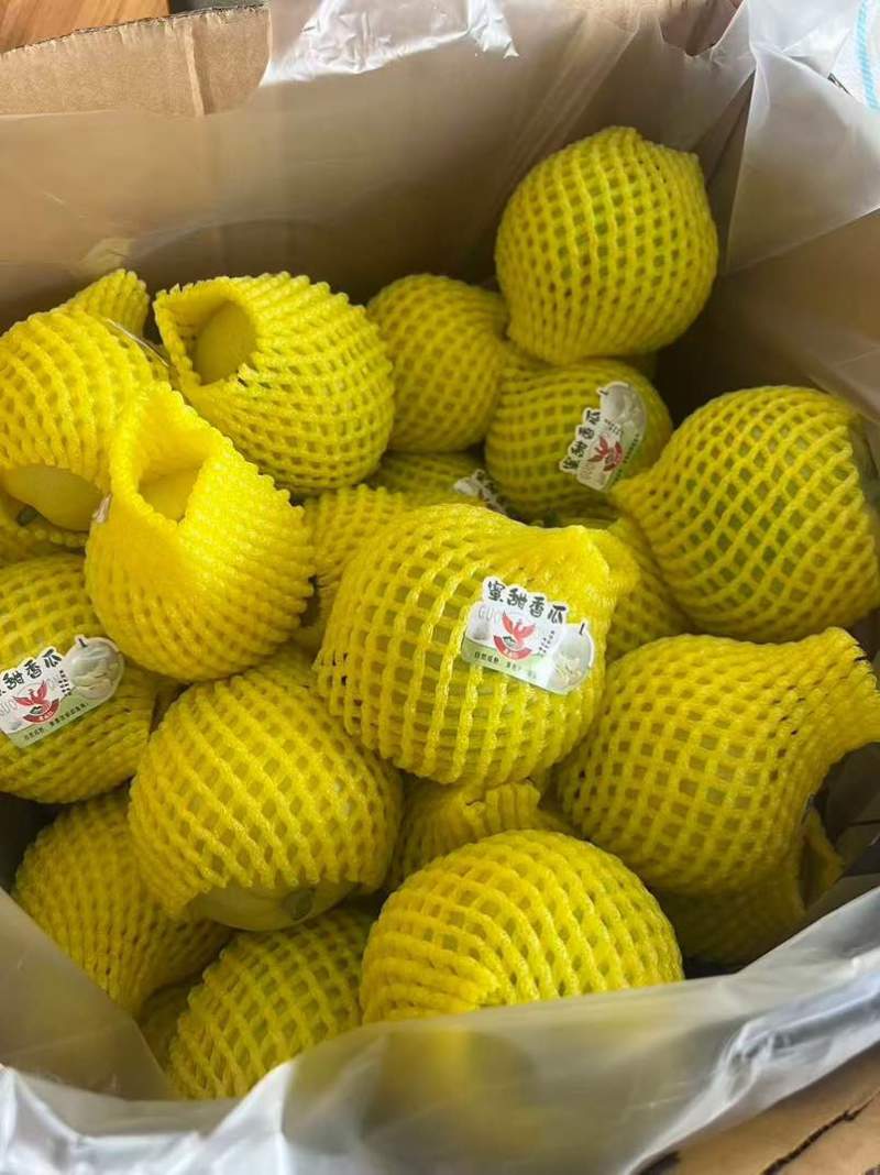 玉奶香瓜、绿宝甜瓜