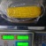 水果玉米超大果即食水果玉米不低于300g电商整箱批发