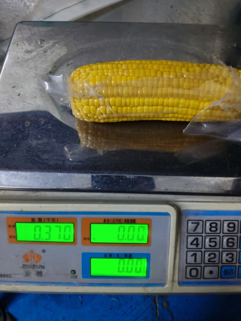 水果玉米超大果即食水果玉米不低于300g电商整箱批发
