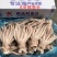 精品鱿鱼头，一件大约6.5斤