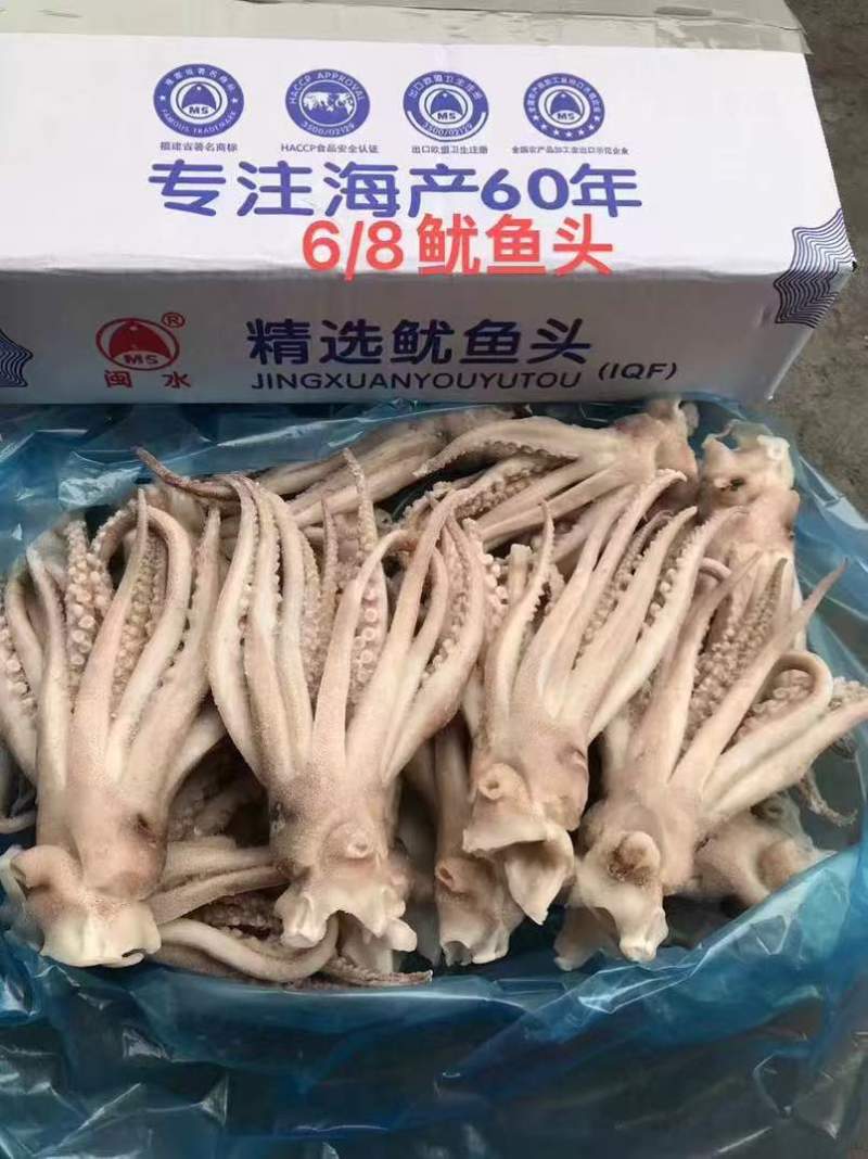 精品鱿鱼头，一件大约6.5斤