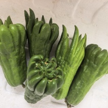 佛手果食用奶茶专用
