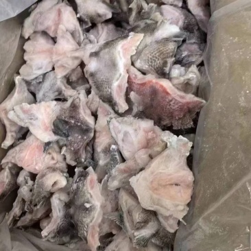 罗非鱼厂家长期有货条冻，开背，孔雀班，三去二，罗非鱼片