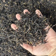 潮汕单丛茶蜜兰香潮州凤凰单枞岭头白叶乌岽鸭屎香