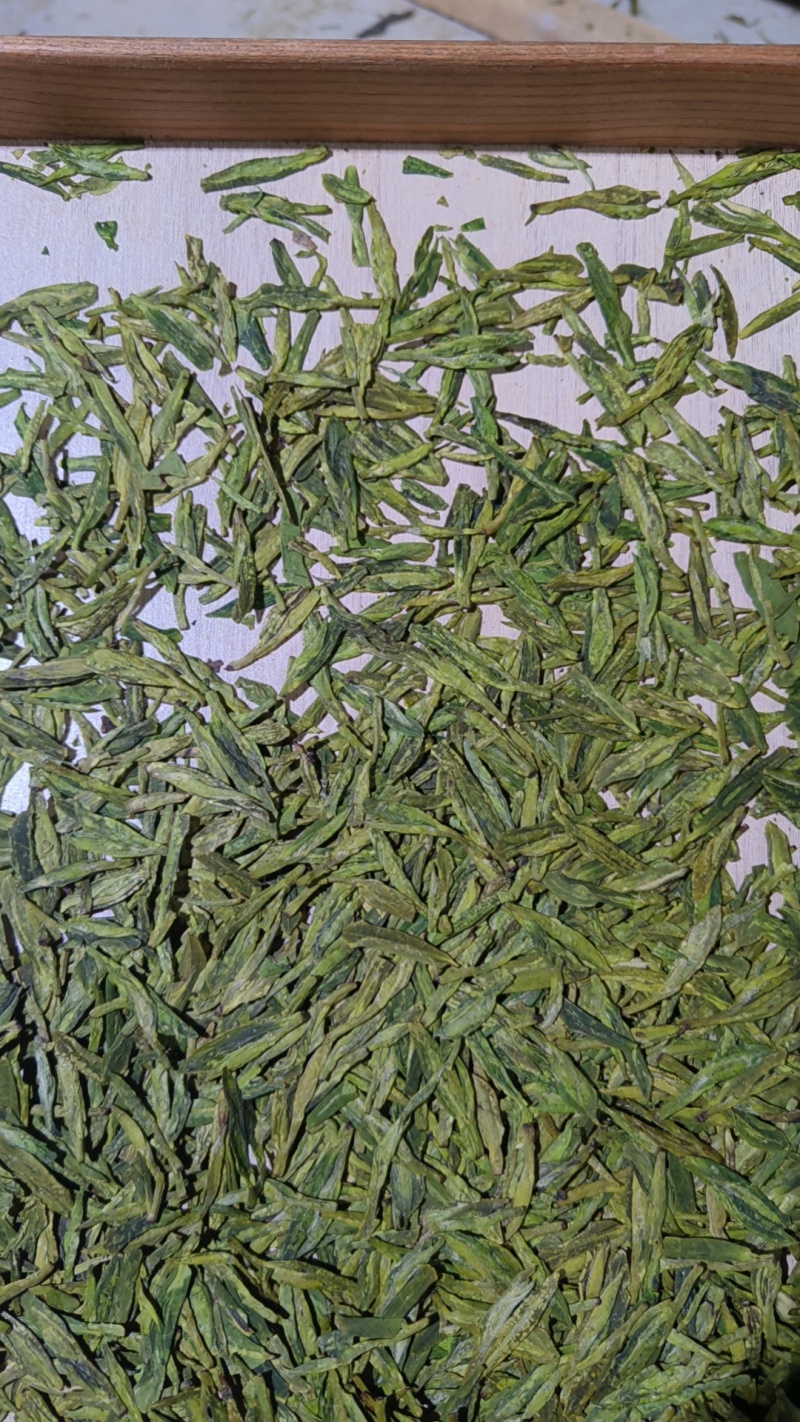 浙江龙井茶