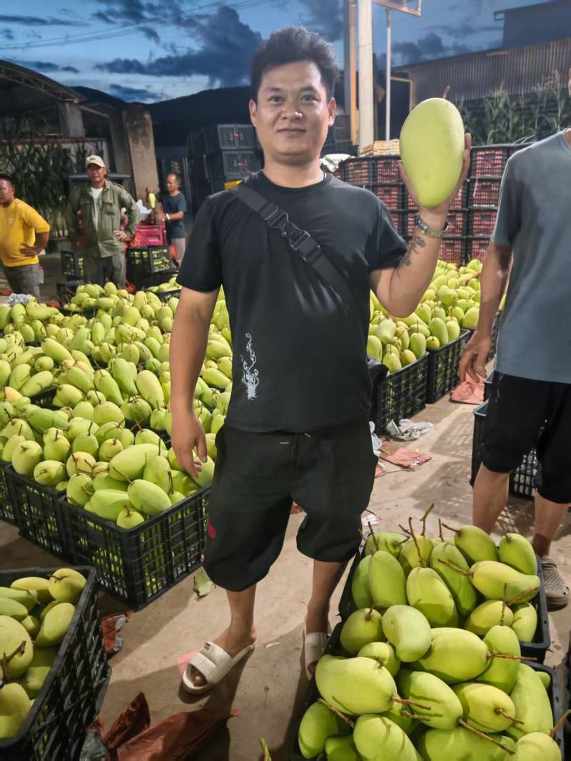 大青一级二级贵妃一级二级