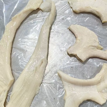 牛肚仁