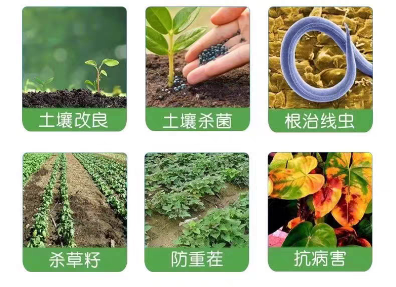 氰氨化钙石灰氮闷棚专用氮肥颗粒氮肥量大价优