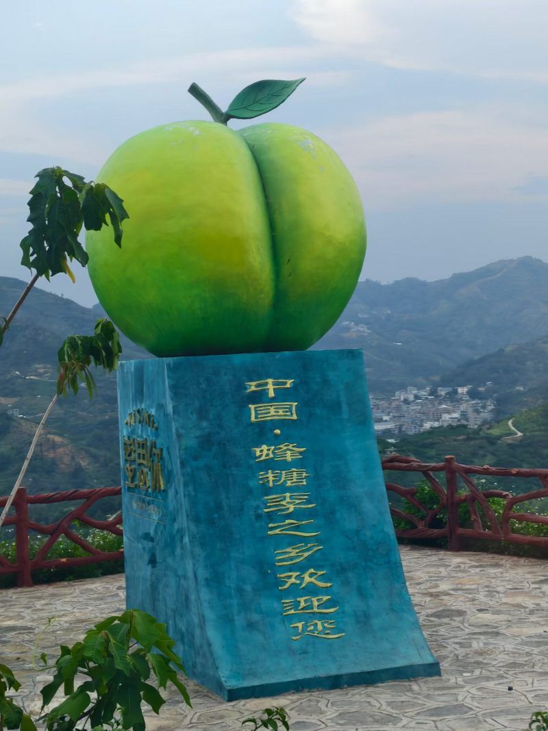 贵州六马蜂糖李35/50果