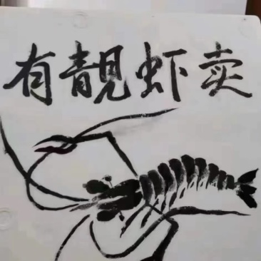 罗氏沼虾批发零售