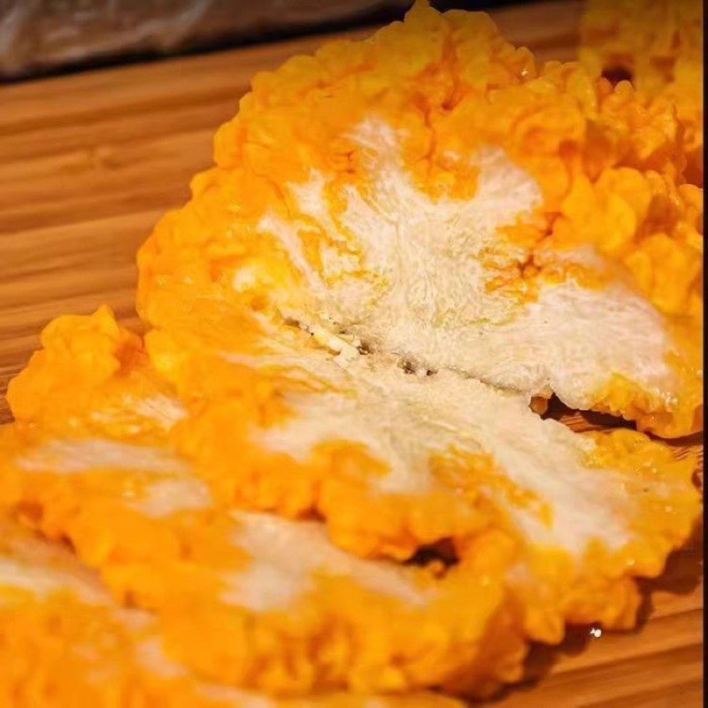 毕节金耳菌
