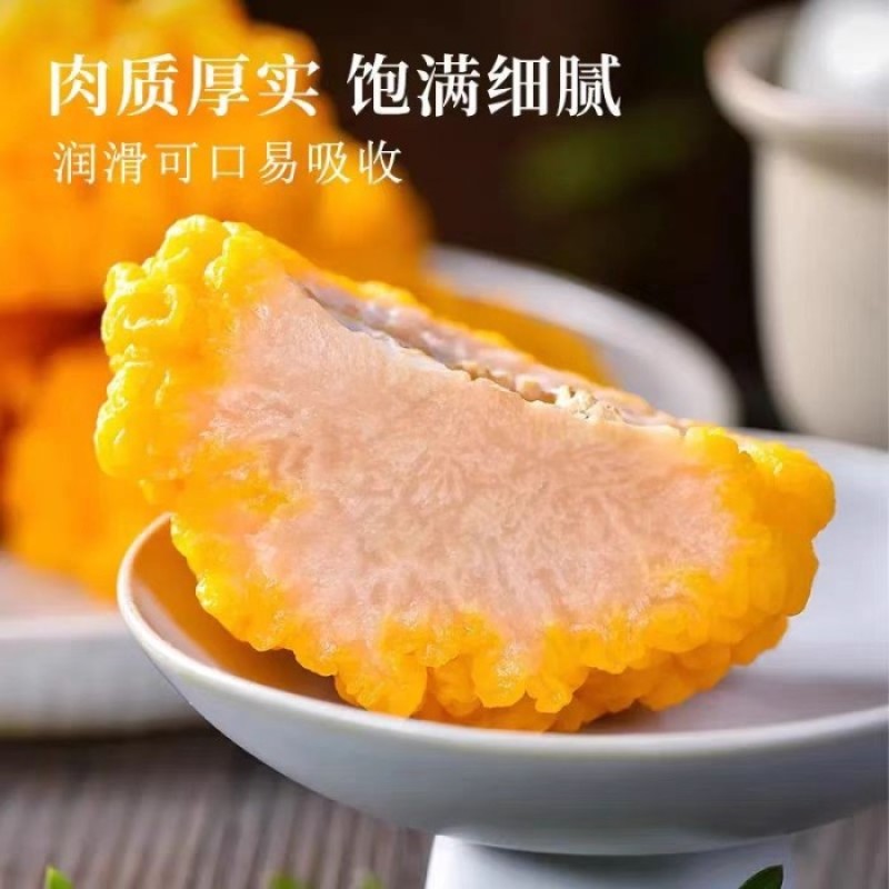 毕节金耳菌
