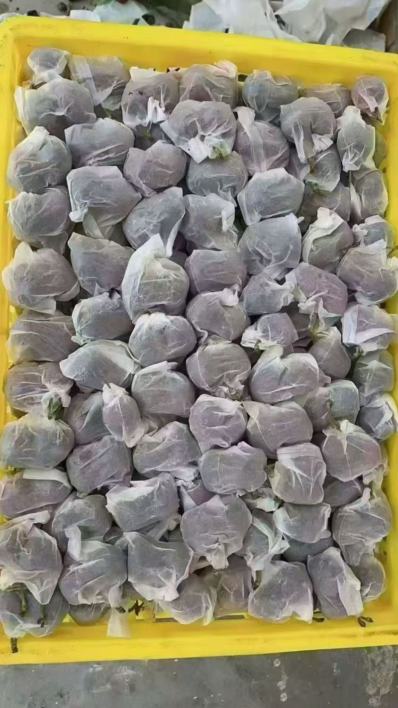 天水大樱桃