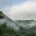 天水大樱桃