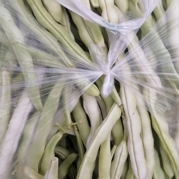 四季豆产地大量供应需要的老板请联系我
