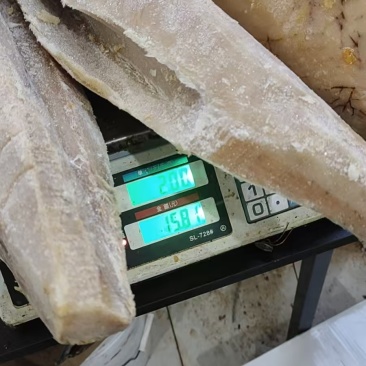 清仓库，金枪鱼5吨，有需要的联系