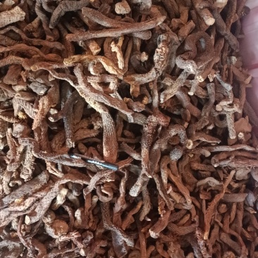 乌兰布和沙漠肉苁蓉，统货，切片。