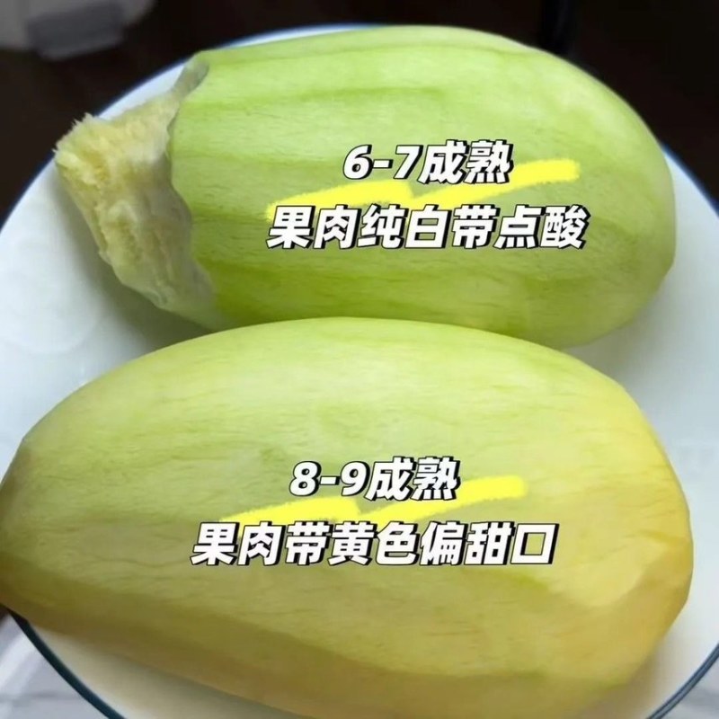 云南金煌芒果