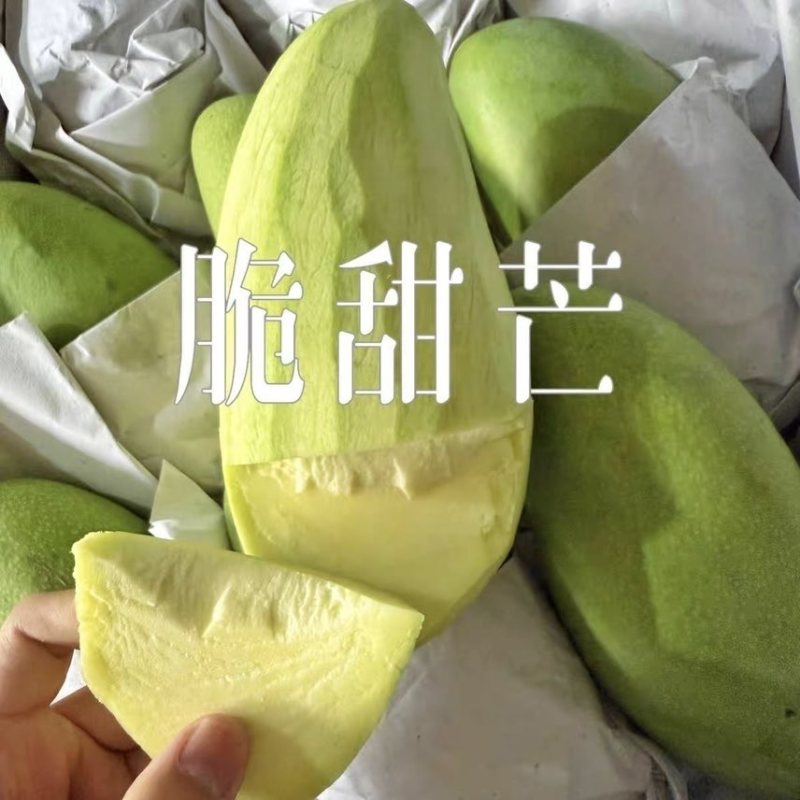 云南金煌芒果