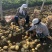 沃土大大大