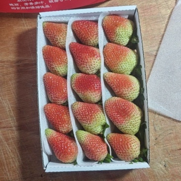 云南草莓