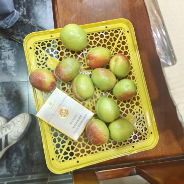 新疆吊干杏小白杏芒果杏赛买提杏