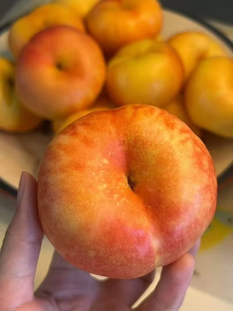 山东蒙阴蜜桃