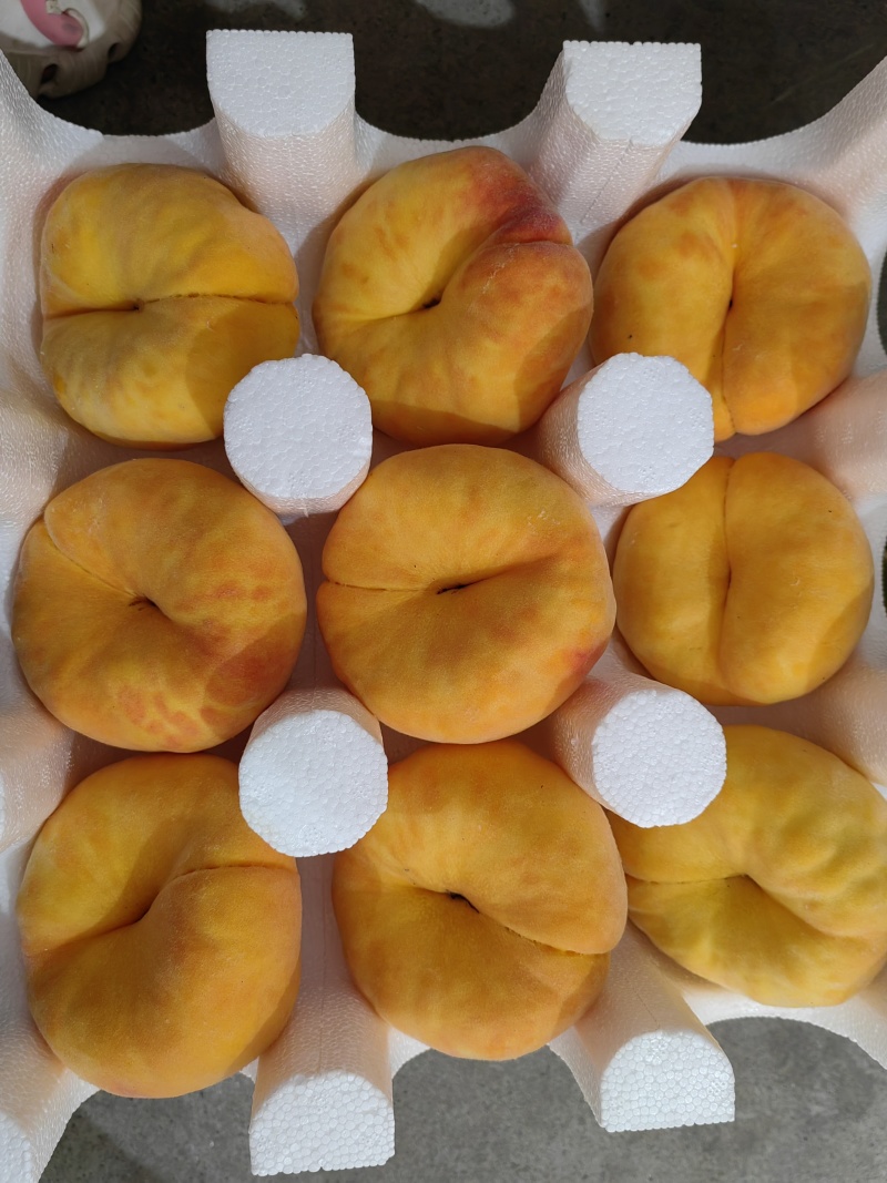 山东蒙阴蜜桃