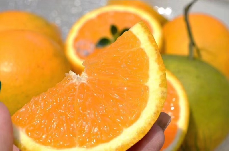 夏橙