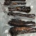 **腊肉***量大从优随时有货
