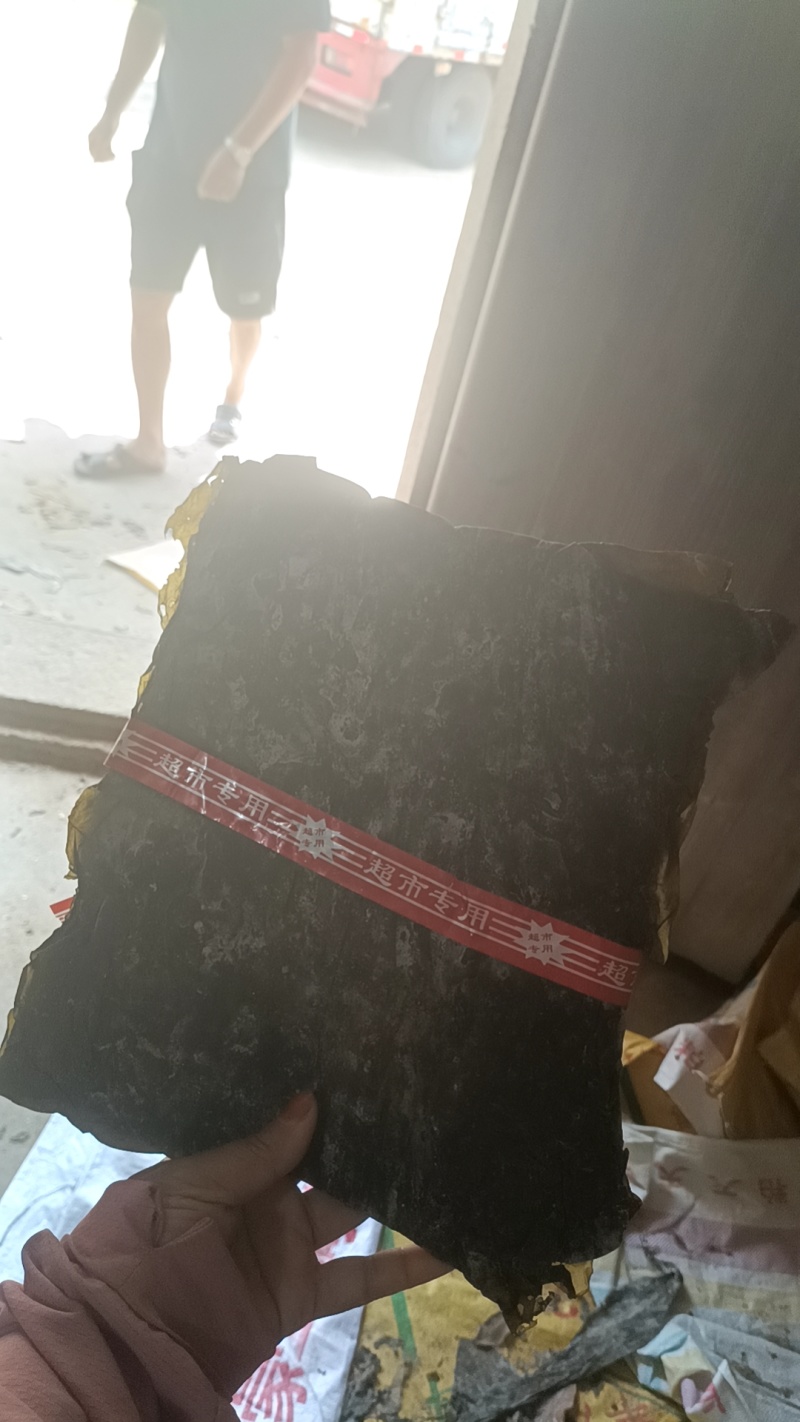 福建干海带