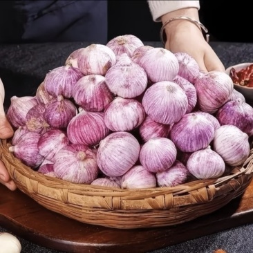 辽宁独头紫皮大蒜，马上起蒜，看货定价，5万斤